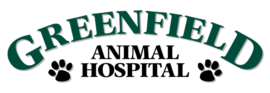 Message Received Greenfield Animal Hospital   Greenfield Animal Hospital Logo 1024x354 