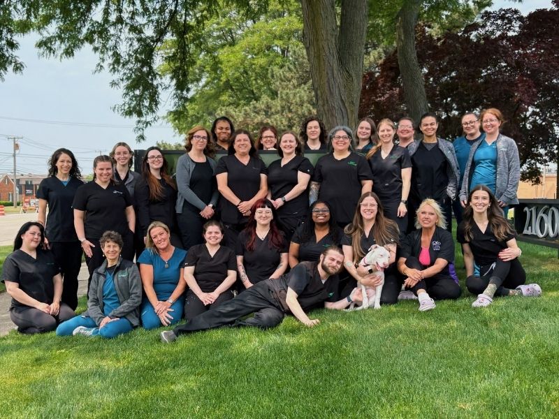 our team